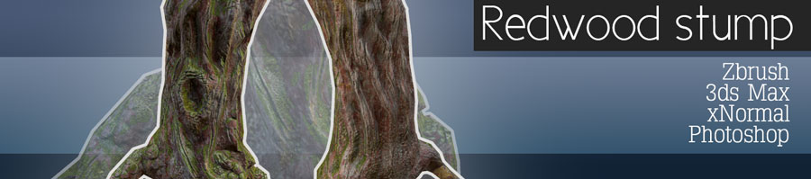 Redwood stump